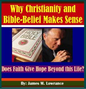 Cover of the book Why Christianity and Bible-Belief Makes Sense by Paddick Van Zyl
