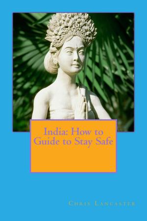 Cover of How to Guide to Survive India
