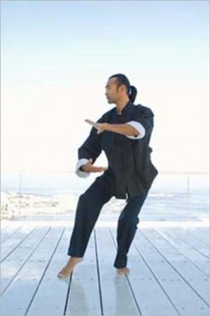 bigCover of the book A Beginners Guide to Tai Chi by 