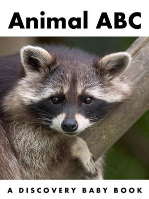Cover of Animal ABC: A Discovery Baby Book