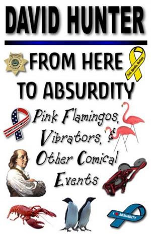 Cover of the book From Here to Absurdity by Jane Isenberg