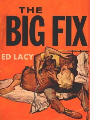 Cover of the book The Big Fix by Arthur Reilly