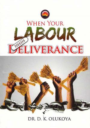 Cover of the book When Your Labour Needs Deliverance by Dr. D. K. Olukoya