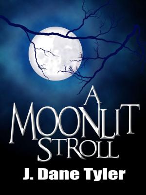 Cover of the book A Moonlit Stroll by Natalia Napoli