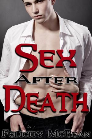 Cover of the book Sex After Death by Gracie Lacewood