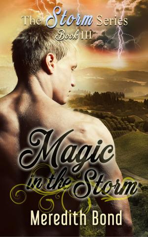 Cover of the book Magic In The Storm by Derek Crabtree