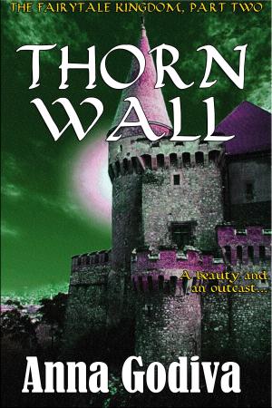 Cover of the book Thorn Wall by Rajan Jha