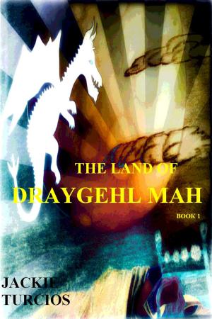 Cover of the book The Land of Draygehl Mah by Sylvia Andrew