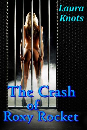 Book cover of THE CRASH OF ROXY ROCKET