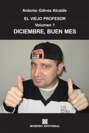 Cover of the book Diciembre, buen mes by Bianca Giovanni