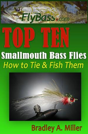 Book cover of Top Ten Smallmouth Flies