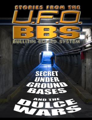 Cover of the book Stories from the UFOBBS by Various, Donald Keyhoe