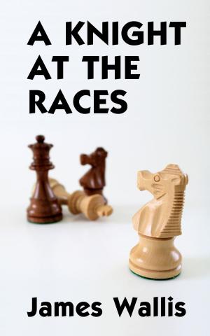 Book cover of A Knight At The Races