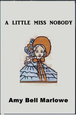 Cover of the book A Little Miss Nobody by Sophie May