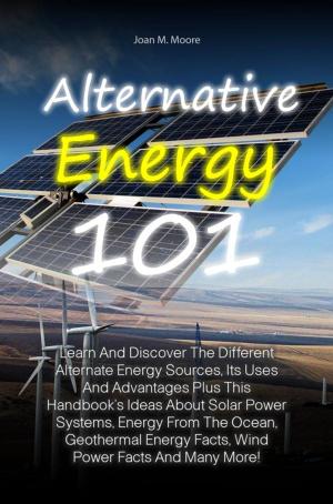 Cover of the book Alternative Energy 101 by Michael Brower, Warren Leon