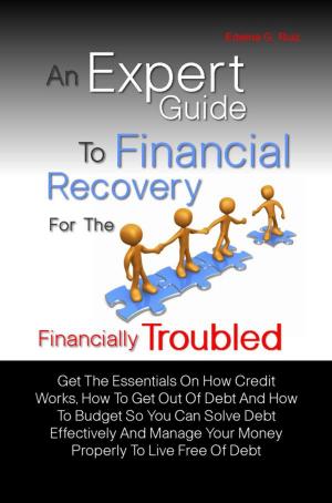 Cover of the book An Expert Guide To Financial Recovery For The Financially Troubled by Dimitry Krasil