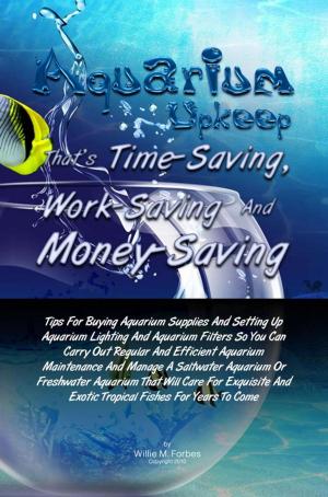 Cover of the book Aquarium Upkeep That’s Time-Saving, Work-Saving And Money-Saving by Dale S. McGee
