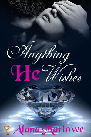 Cover of the book Anything He Wishes by Laura Vixen