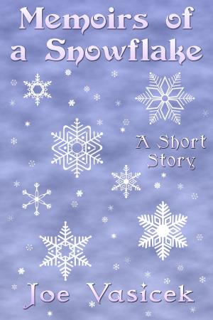 Cover of the book Memoirs of a Snowflake by Joe Vasicek