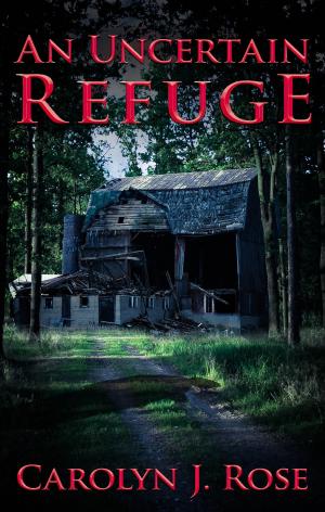 Cover of the book An Uncertain Refuge by Randy Ingermanson