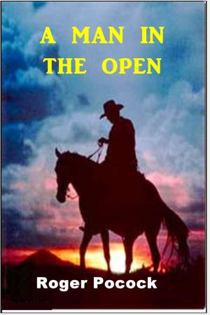 Cover of the book A Man in the Open by Bret Harte