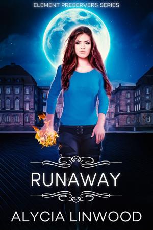 bigCover of the book Runaway by 