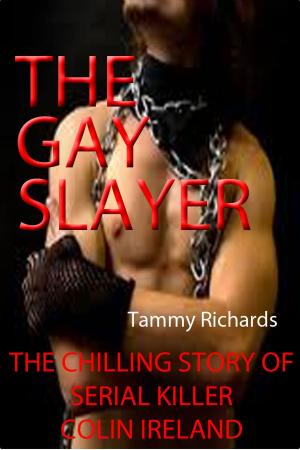 Book cover of THE GAY SLAYER