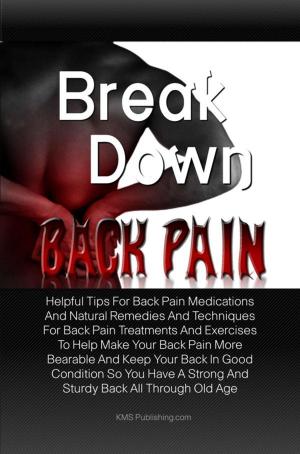 Cover of the book Break Down Back Pain by Savannah B. Osborne
