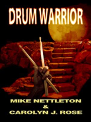 Book cover of DRUM WARRIOR
