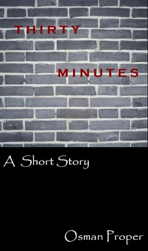 bigCover of the book Thirty Minutes by 
