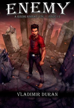 Cover of the book Enemy by Ana E Ross