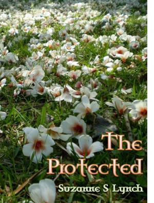 Cover of the book The Protected by Jon Paul Olivier