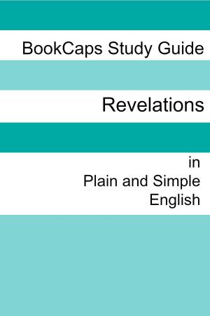 Book cover of The Book of Revelation in Plain and Simple English