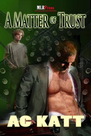 Cover of the book A Matter of Trust by Stephani Hecht
