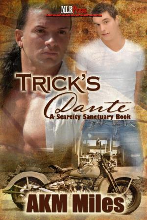 Cover of the book Trick's Dante by Shawn Bailey