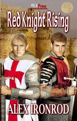 Cover of the book Red Knight Rising by Elizabeth Lister