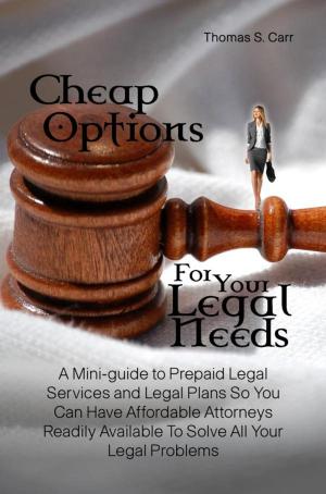 Cover of the book Cheap Options For Your Legal Needs by Rebekah P. Haynes