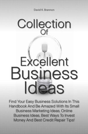 Cover of the book Collection Of Excellent Business Ideas by Jackie W. Lively