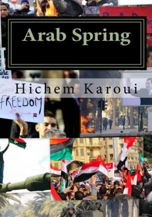 Cover of the book Arab Spring: The Making of the New Middle East by Rob Clewley