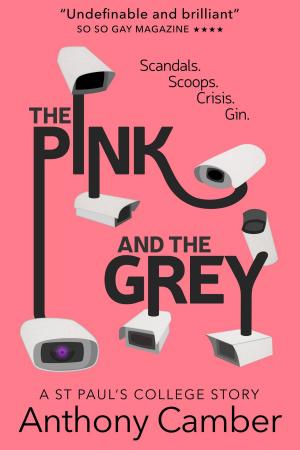 bigCover of the book The Pink and the Grey by 