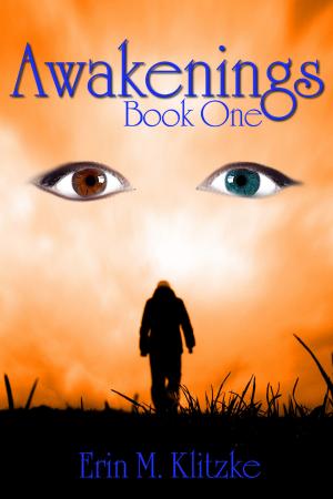 Cover of the book Awakenings by Eileen Enwright Hodgetts