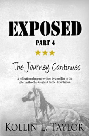Book cover of Exposed: ...The Journey Continues