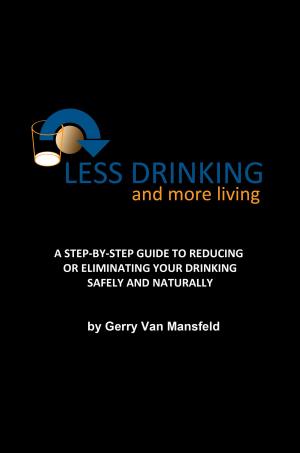 bigCover of the book Less Drinking and More Living by 