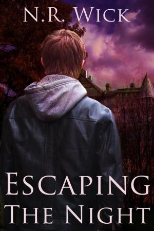 Cover of the book Escaping the Night by Crissy Moss