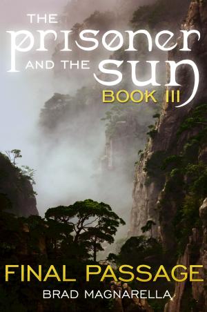 Cover of the book Final Passage (The Prisoner and the Sun #3) by Dzintra Sullivan
