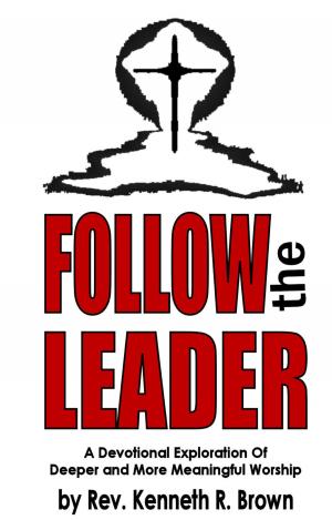 Cover of the book Follow the Leader by Rachael N. Miller