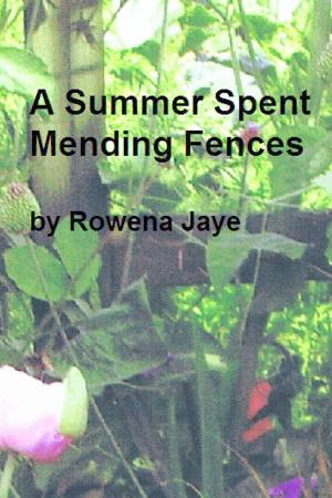 Book cover of A Summer Spent Mending Fences