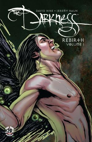 Cover of the book Darkness Rebirth Volume 1 by Christina Z, David Wohl, Marc Silvestr, Brian Haberlin, Ron Marz