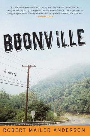 Cover of the book Boonville by Sujata Massey