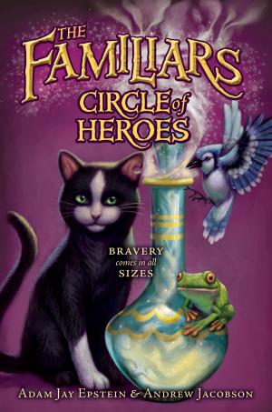 Cover of the book Circle of Heroes by Patrick Bernauw